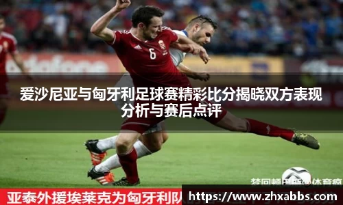 bsports官网